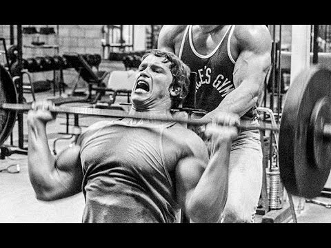 how much could arnold bench 6EH4WXCiFh0