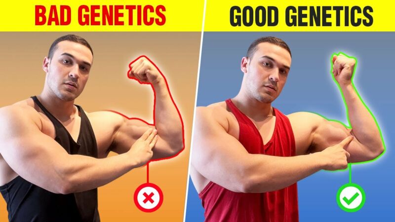 how to know your genetic muscle potential SD yAFfLCXg