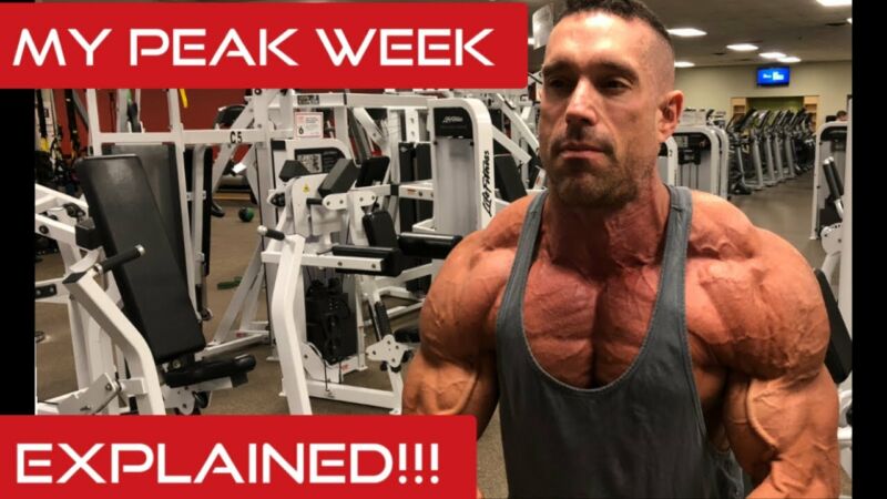 what is peak week in bodybuilding gCrZF MMovs