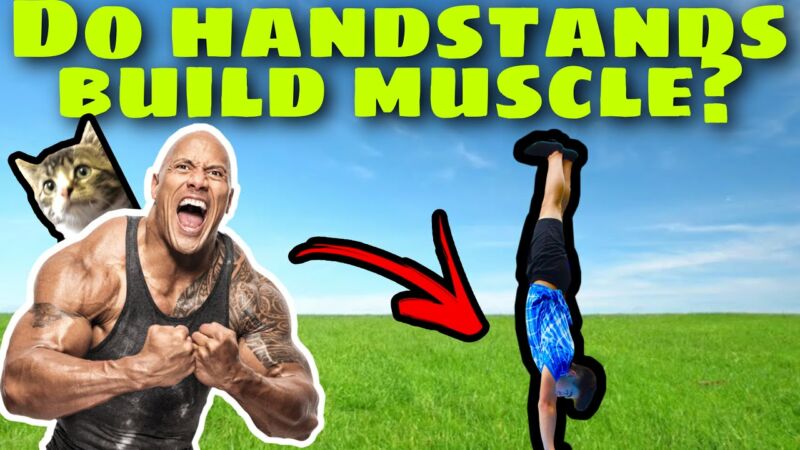 what muscles does a handstand work Fayjy0BmhJU